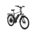 2019 Wholesale City Electric Bicycle with Bafang Rear Motor